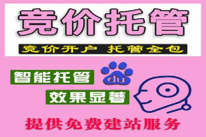 百度推广运营案例剖析：如何实现高转化率